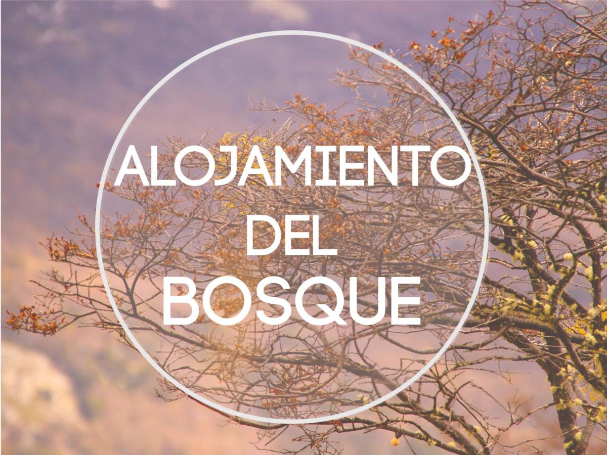 B&B Ushuaïa - Alojamiento Del Bosque - Bed and Breakfast Ushuaïa