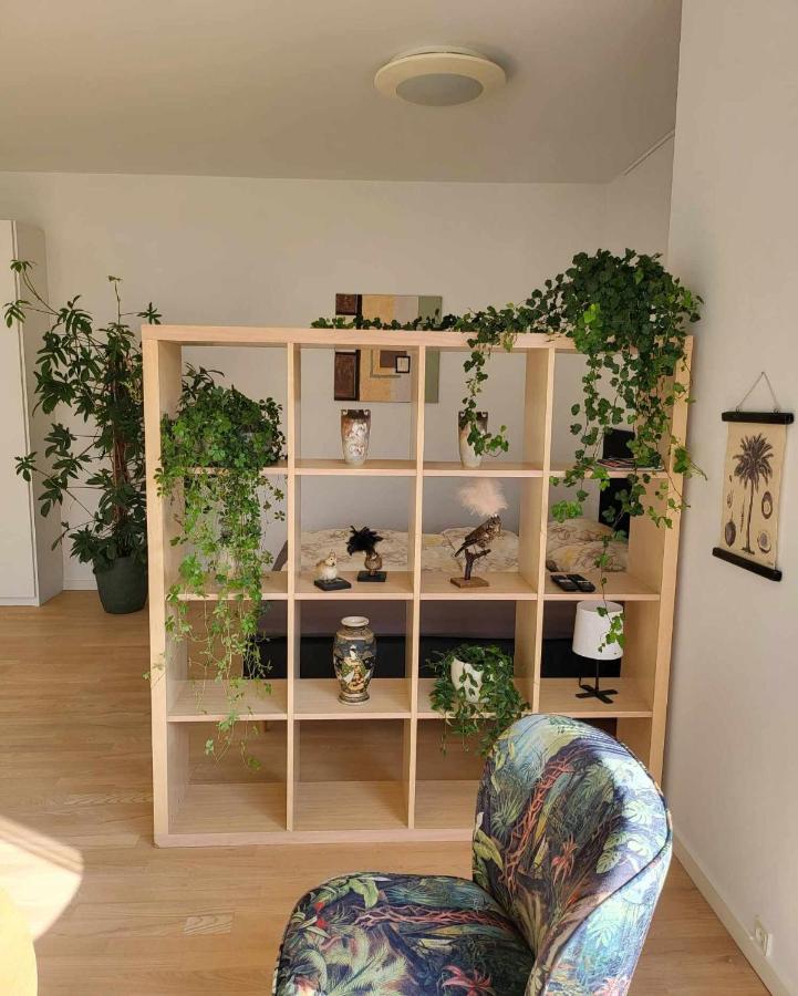 Straight-Up Fantastic Bright Apartment! - Chambres d’hôtes