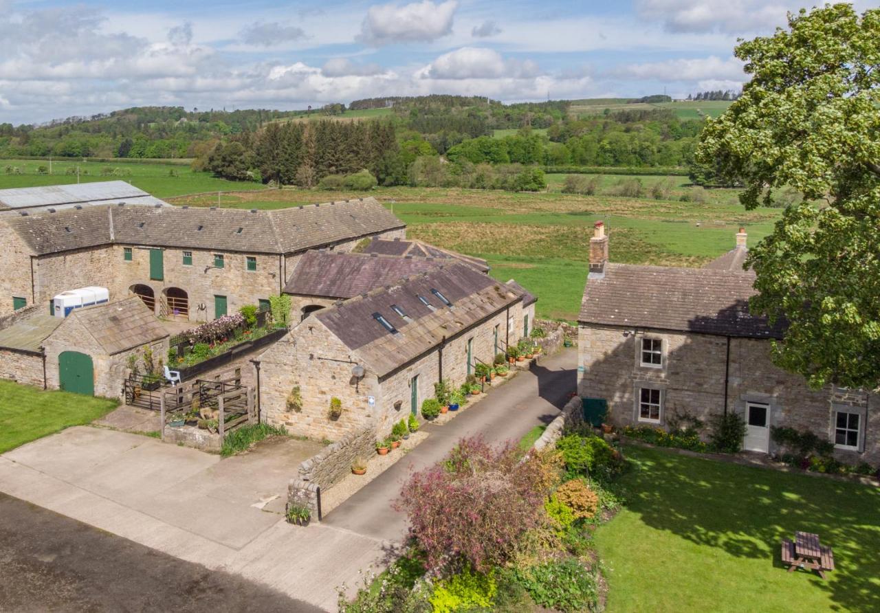 B&B Haltwhistle - Wydon Farm Bed and Breakfast - Bed and Breakfast Haltwhistle