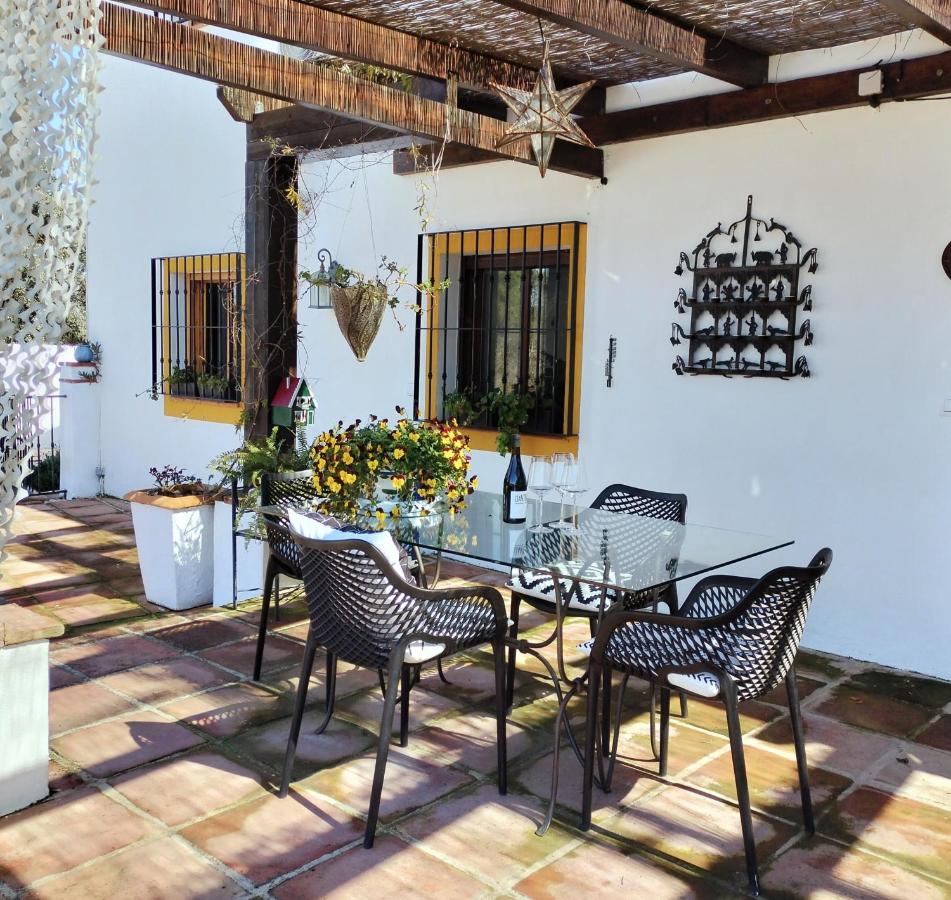 Todos Y Tonya - B&B Archidona