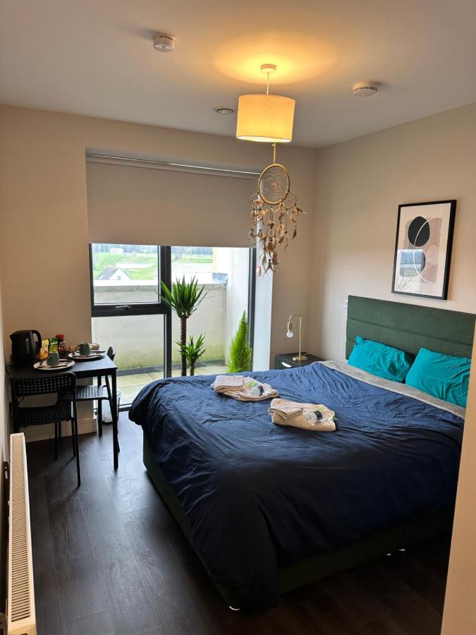 B&B Dublin - Private Ensuite Room (King size bed) - Bed and Breakfast Dublin
