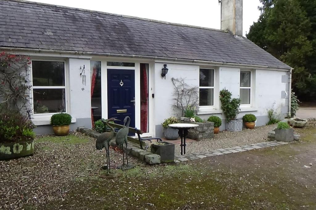 B&B Dungannon - The Weaver's Cottage - Bed and Breakfast Dungannon