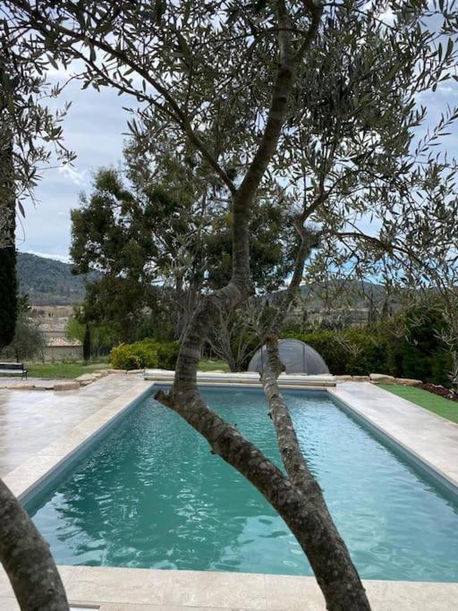 La villa Li Grihet - B&B Beaumont-de-Pertuis