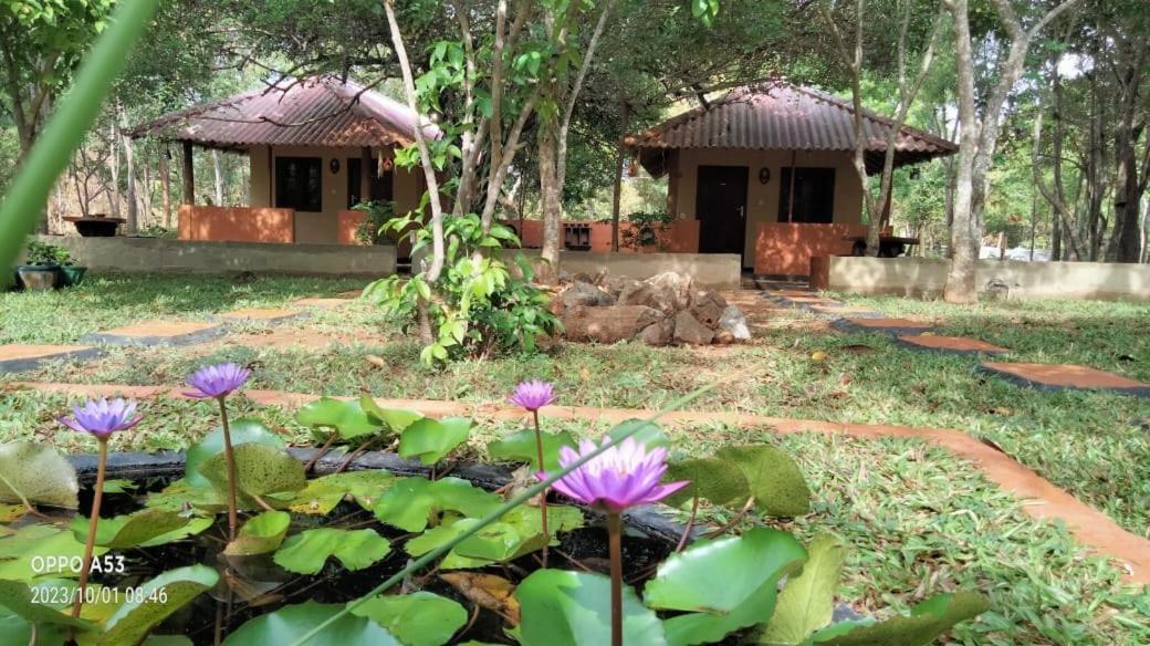 Hôtel Niyagala Lodge Sigiriya - Ferienwohnung