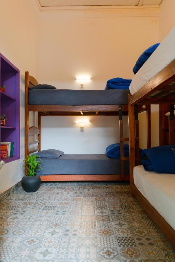 Bunk Bed in Mixed Dormitory Room