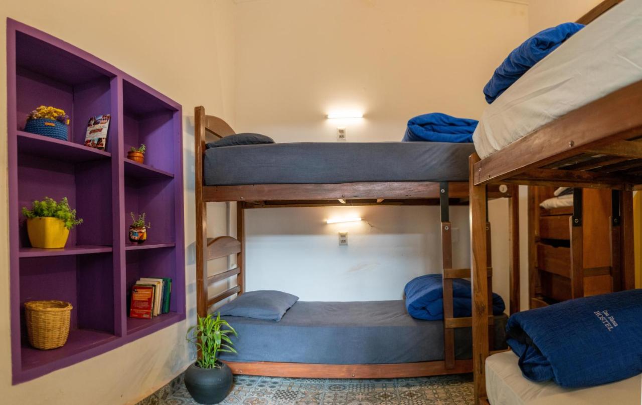 Bunk Bed in Mixed Dormitory Room