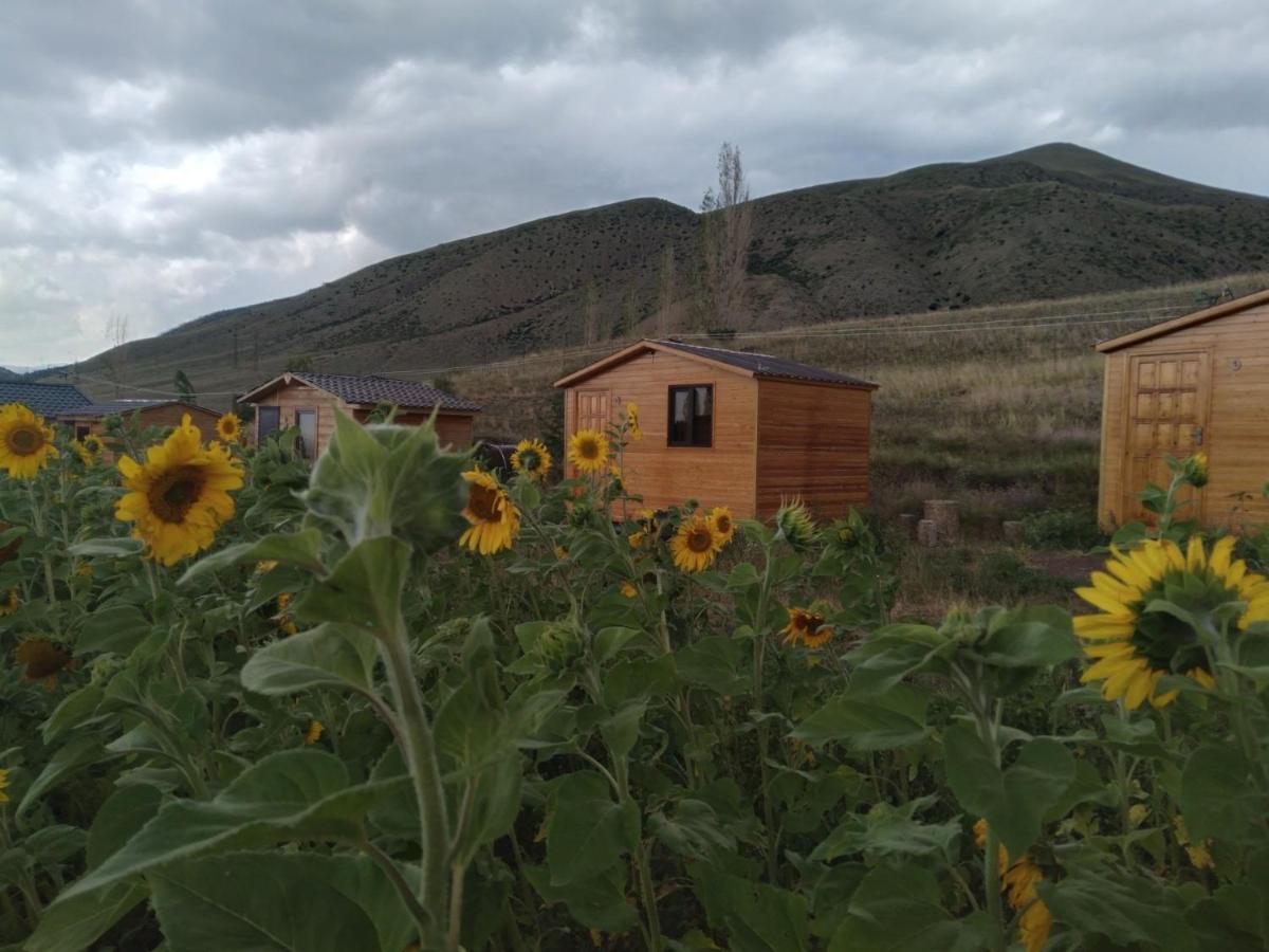 Eco Aura - Bed and Breakfast Areguni