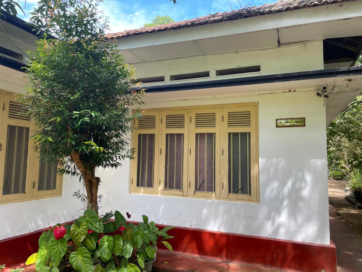 Blooming Lanka (Wickumsiri) - B&B