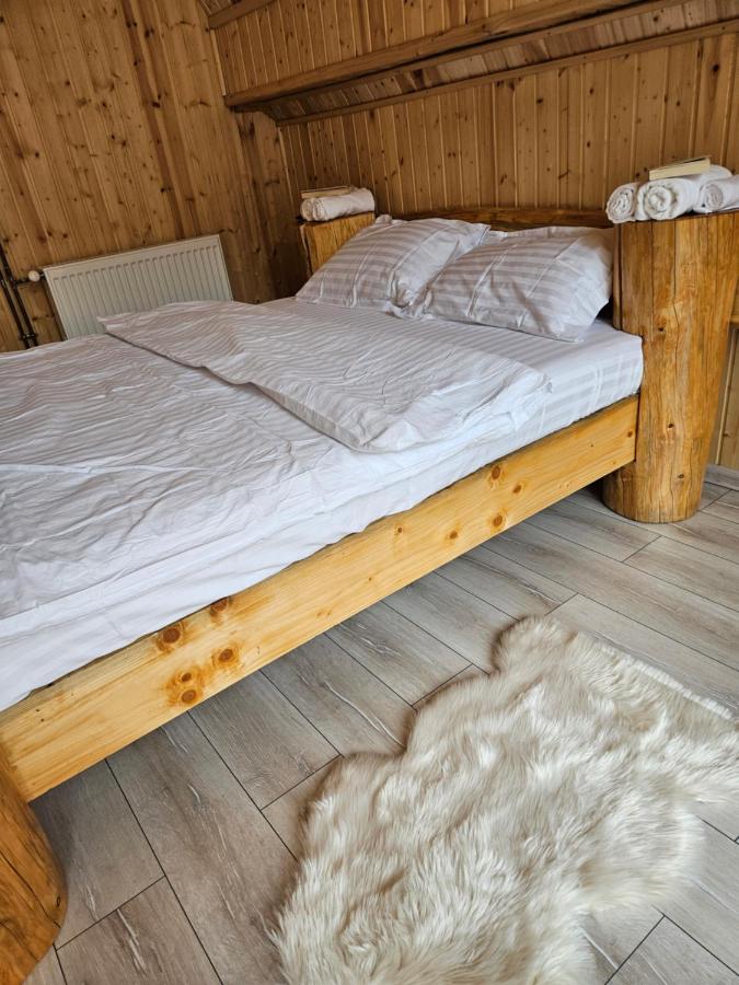 Charpatian Log Cabin Dragoslavele - B&B