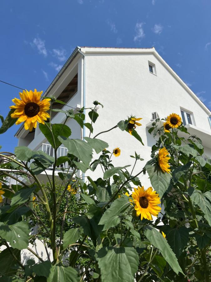 B&B Hvar - Apartments Nikola Stipišić - Bed and Breakfast Hvar