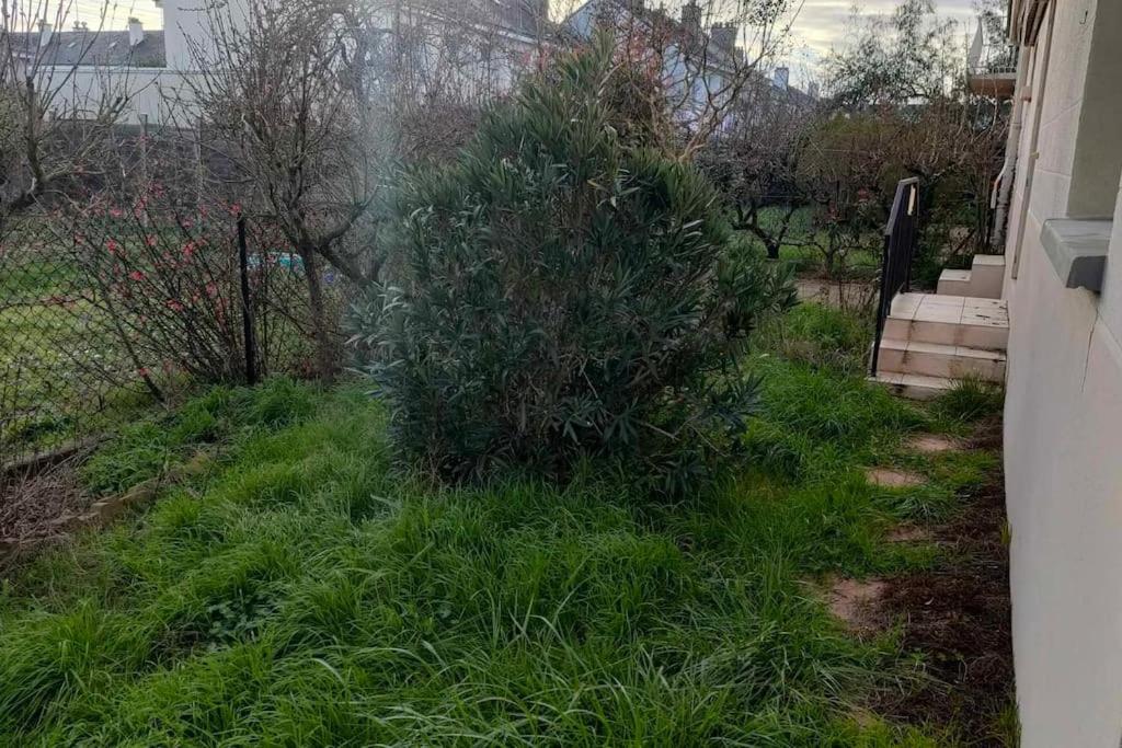 Appartement cosy 2 chambres avec jardin - Ferienwohnung