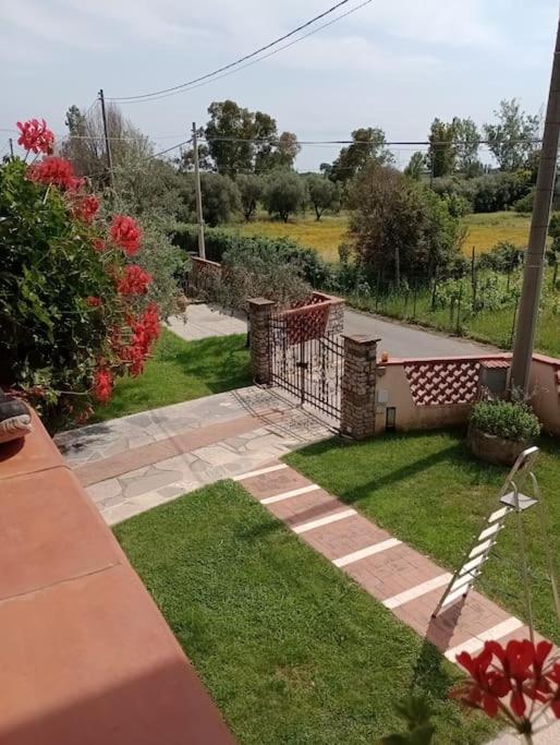 Colli di Luni - B&B