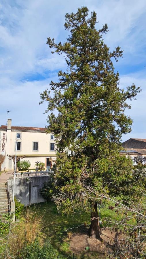 Coliv'Castres - B&B