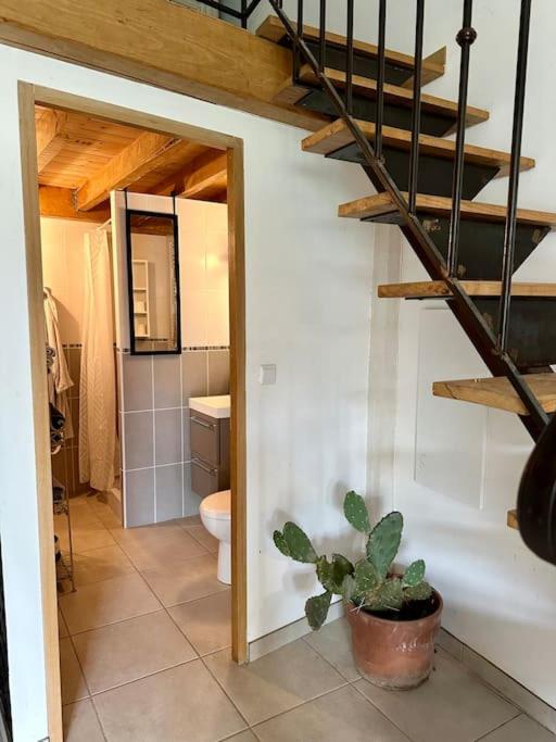 Appartement met 1 Slaapkamer