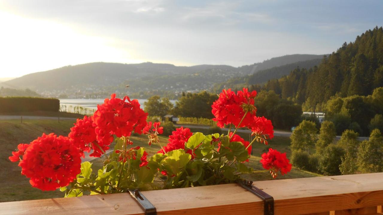 B&B Gérardmer - Gérardmer : appartement 43m2, classé 3*, vue lac - Bed and Breakfast Gérardmer