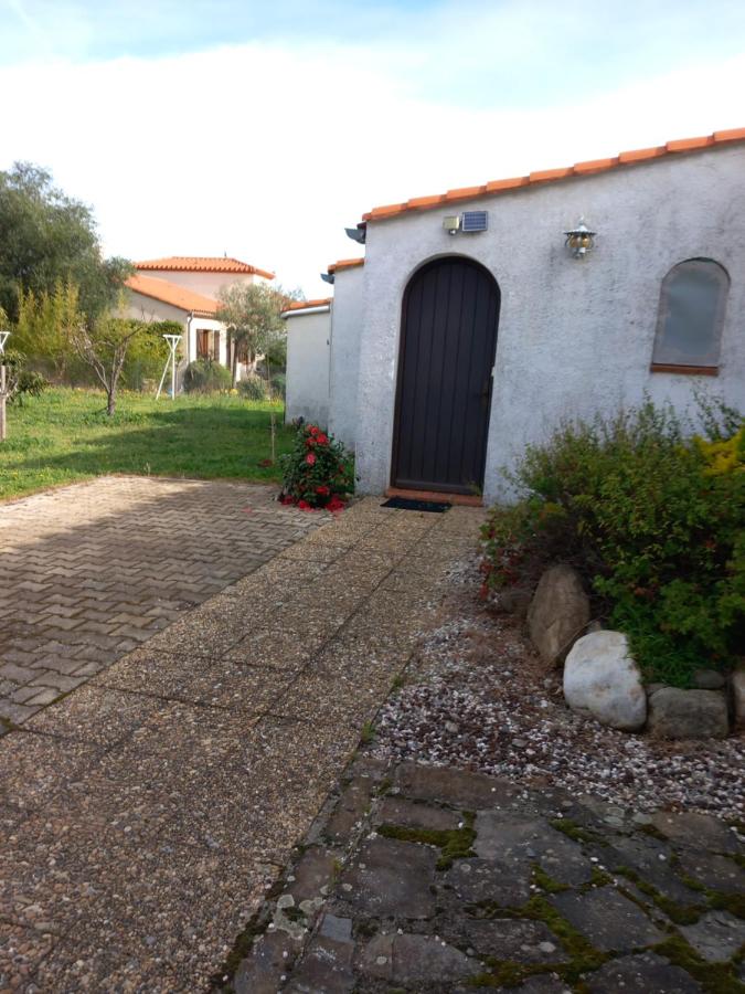 MAS MURIEL - Entre MEDITERRANEE et PYRENEES, à la port de l'ESPAGNE - B&B Sorède