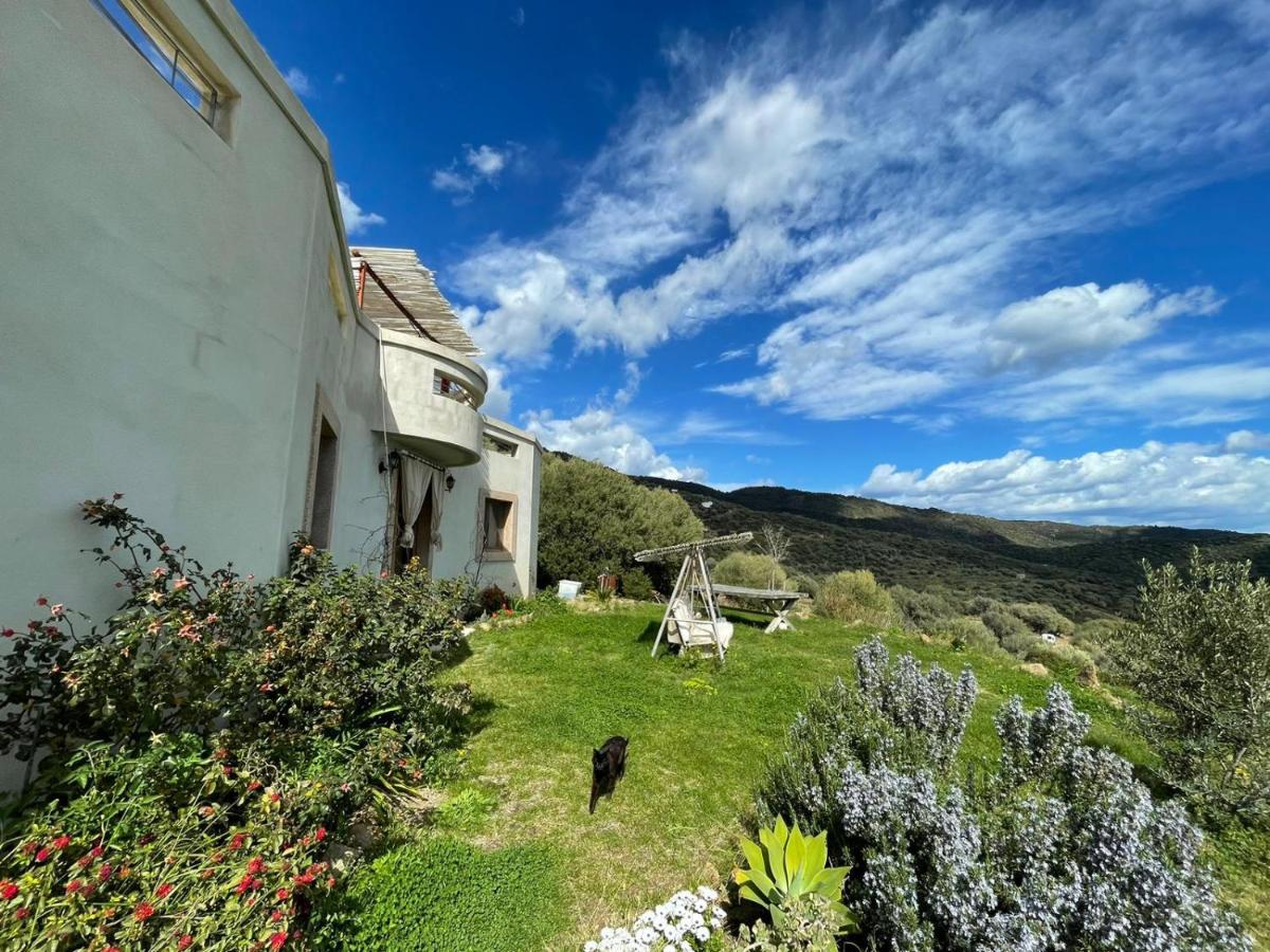 B&b La Casa Nel Vento - B&B