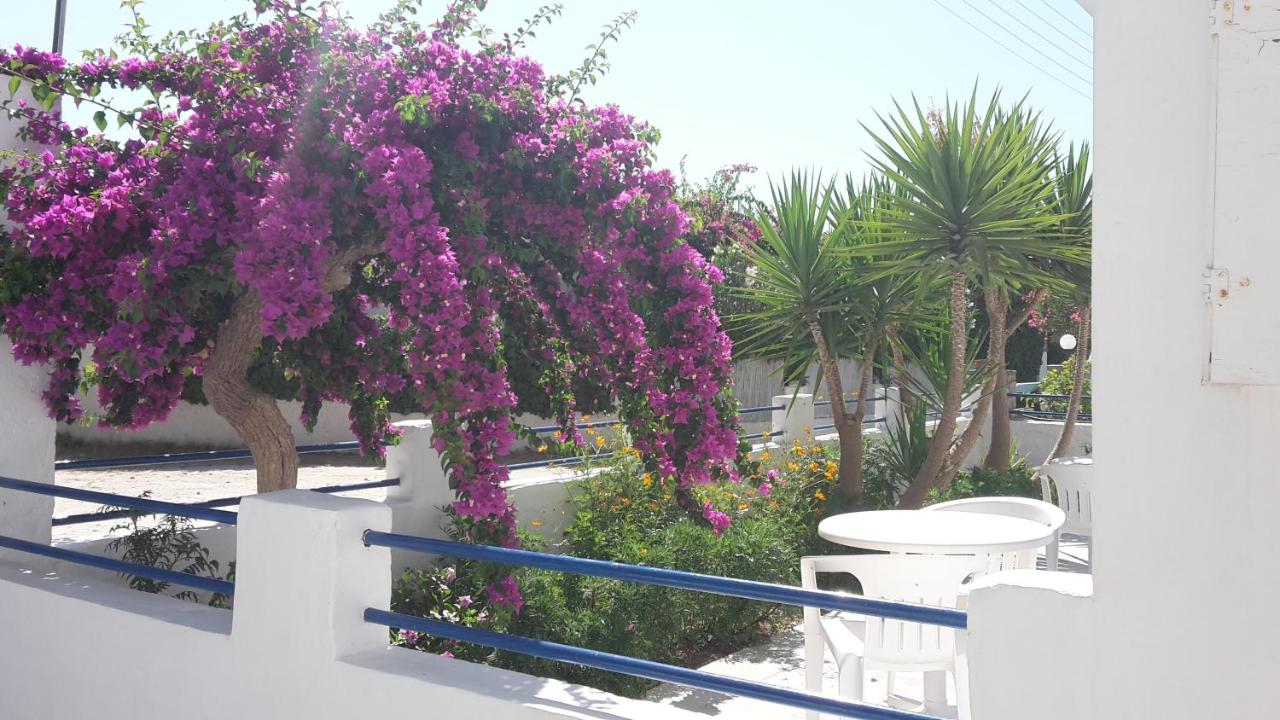 Pension Piertzovani - B&B
