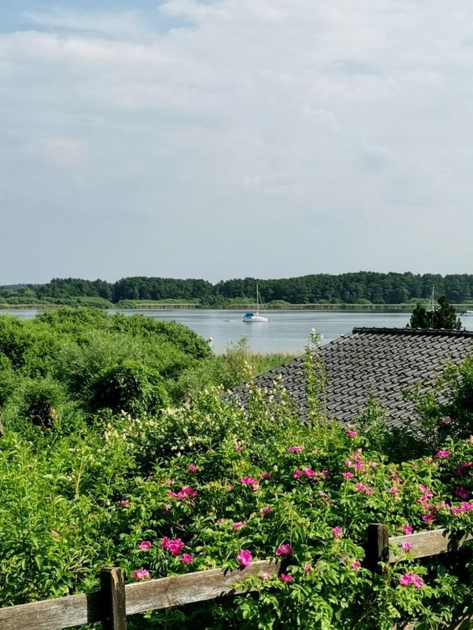 B&B Sietow - Ferienhaus Blick auf die Müritz - Bed and Breakfast Sietow