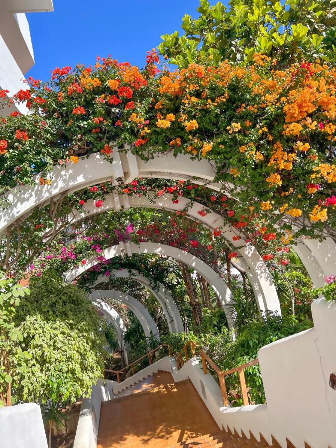 Tenerife Paradise Anna Studio - Bed and Breakfast