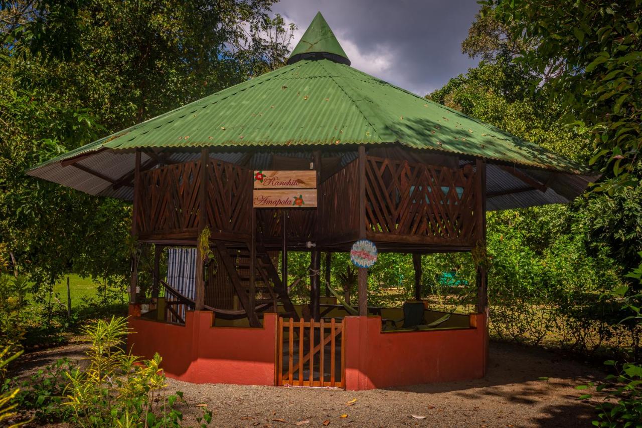 Bungalow con vistas al jardín