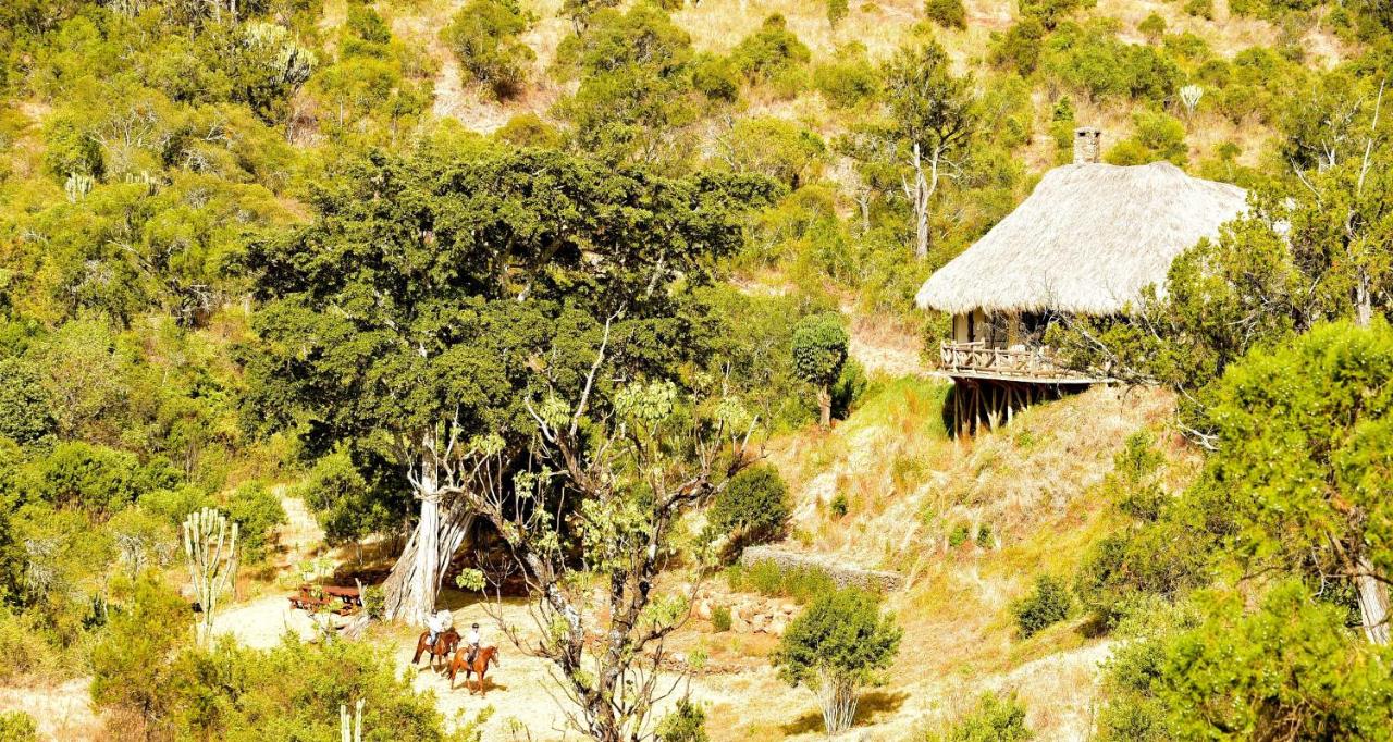 Olepangi Farm - Ferienwohnung