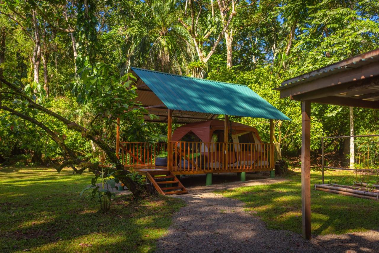 Dolphin Quest Costa Rica - B&B