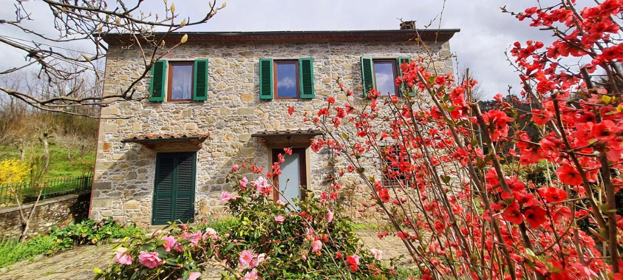 Casa Millefiori - B&B Bagni di Lucca