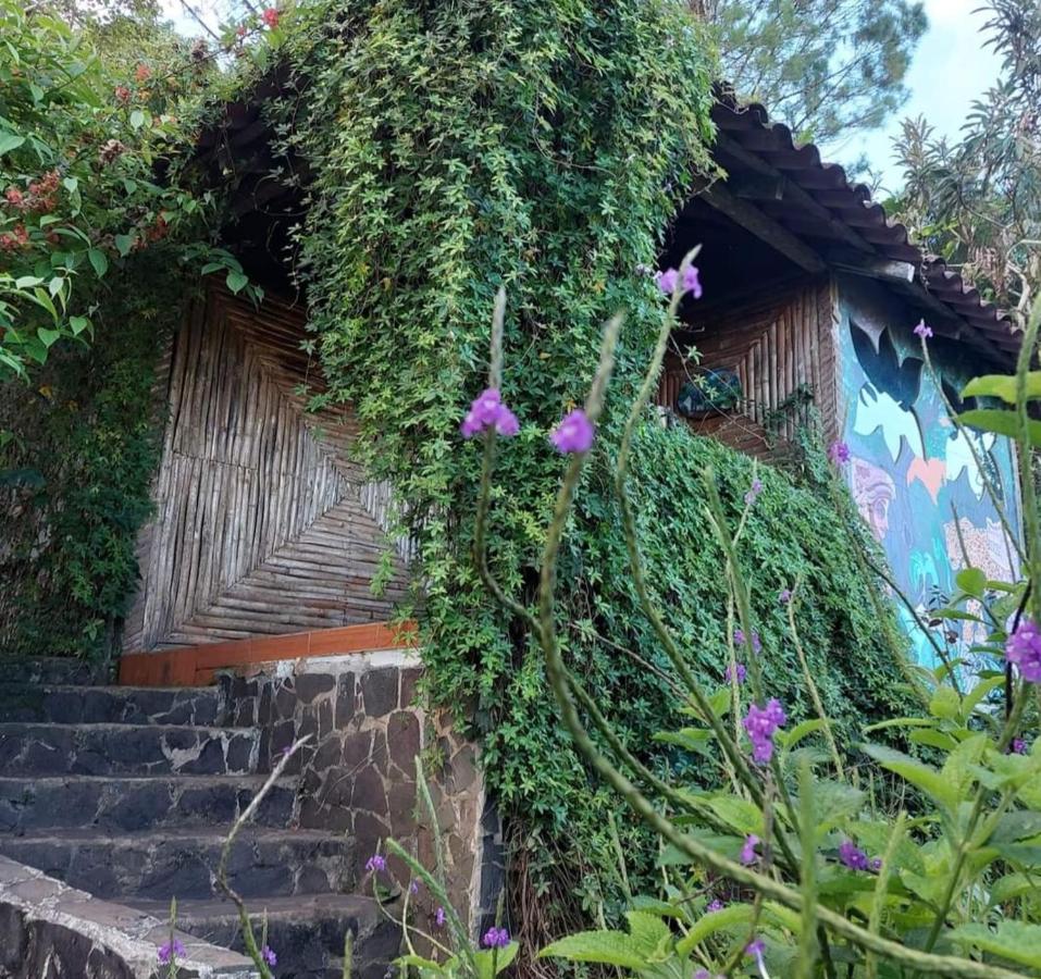 Bungalow de un dormitorio