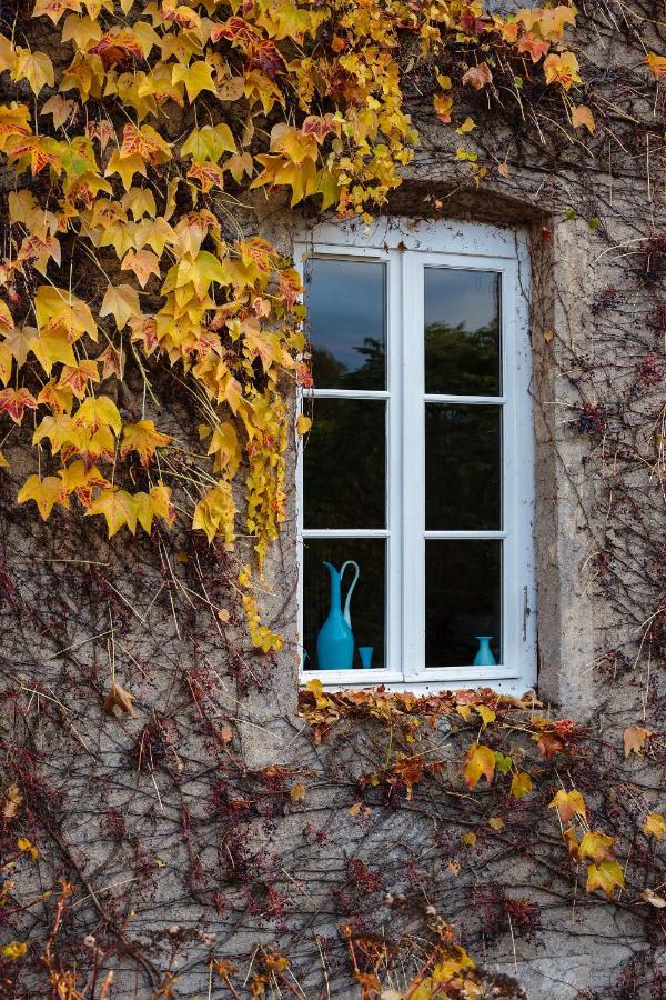 Moulin Renaudiots - Maison d'hôtes - Ferienwohnung