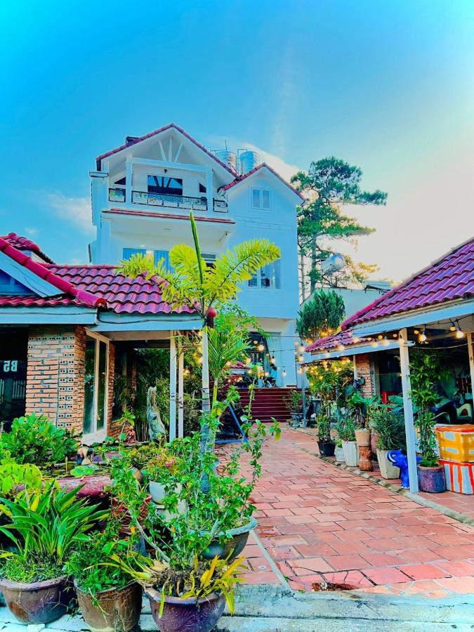 B&B Da Lat - Hoa Chuông - Villa - Homestay Đà Lạt - Bed and Breakfast Da Lat