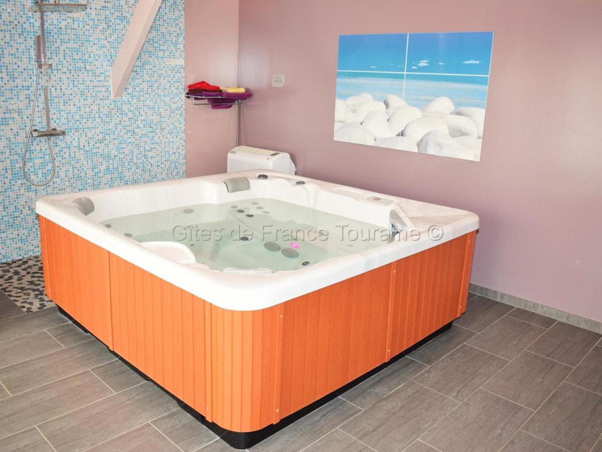 Maison en Touraine avec Spa et Sauna, proche Châteaux de la Loire - FR-1-381-473 - Chambres d'hôtes Benais