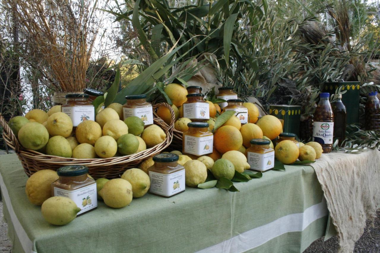 Agriturismo Pacilli - B&B