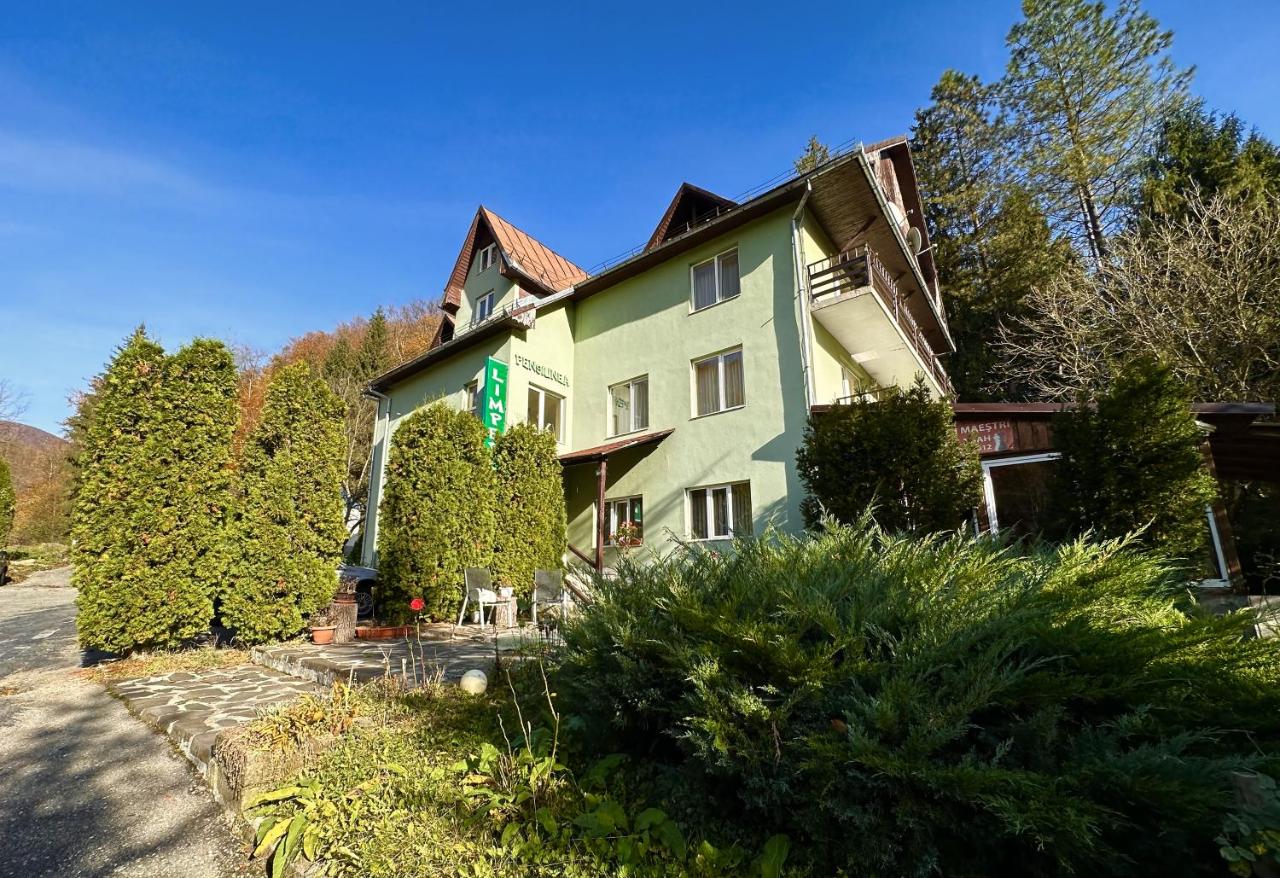 B&B Mittelstadt - Pensiunea Limpedea - Bed and Breakfast Mittelstadt