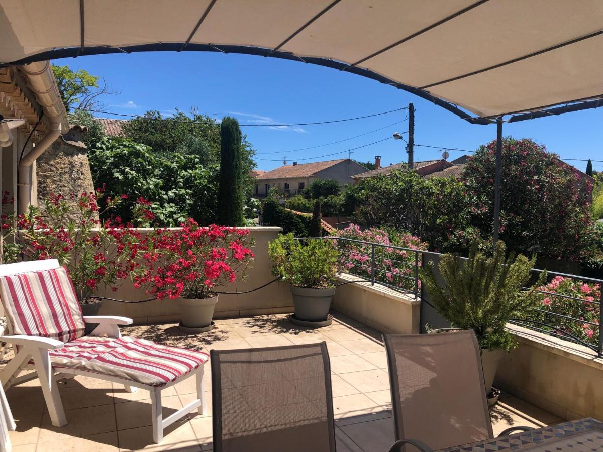 Gîte : La cave des Violettes - Ferienwohnung Lespignan