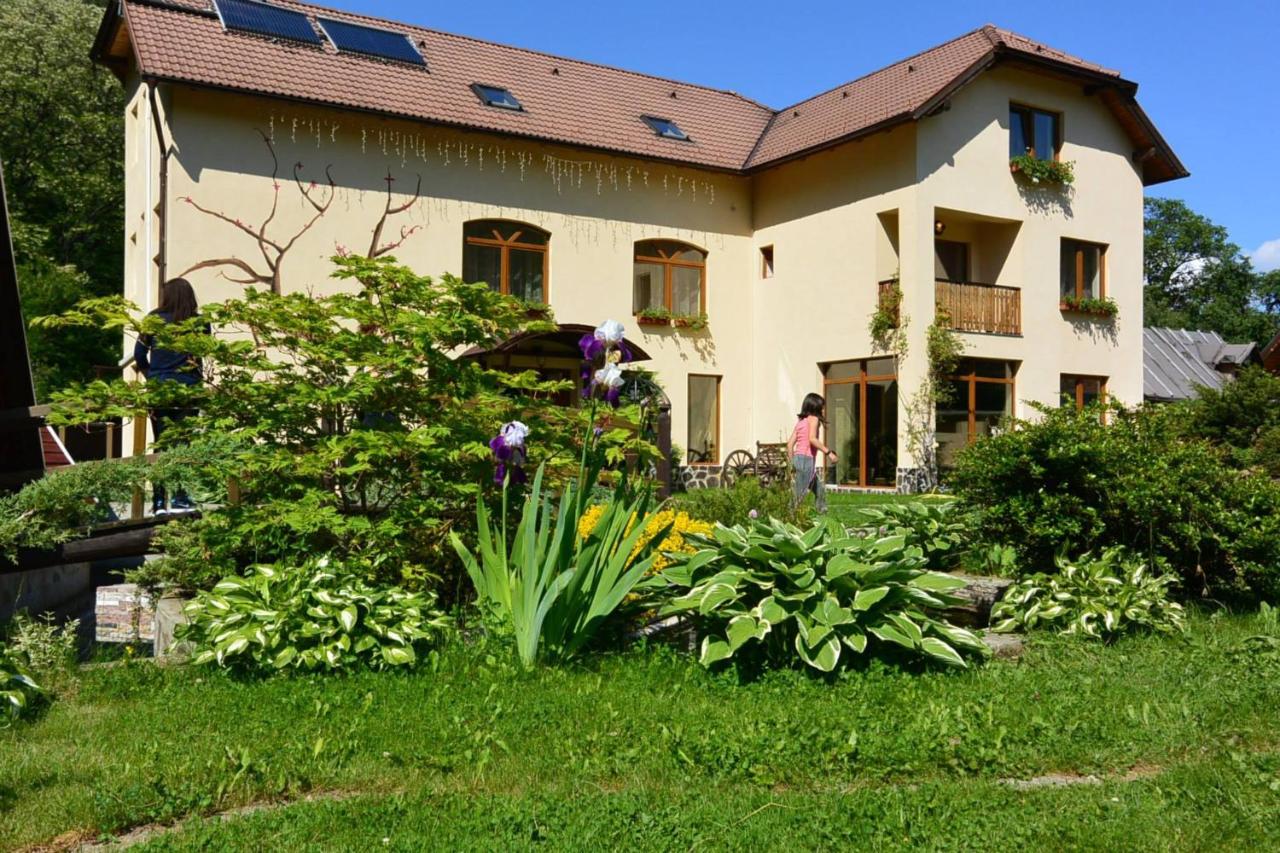 Pensiunea Sanziana - Bed and Breakfast Gura Râului