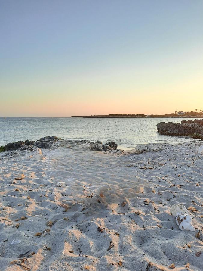 Apartamento Playa Xoriguer con piscina y jardin - B&B Son Xoriguer
