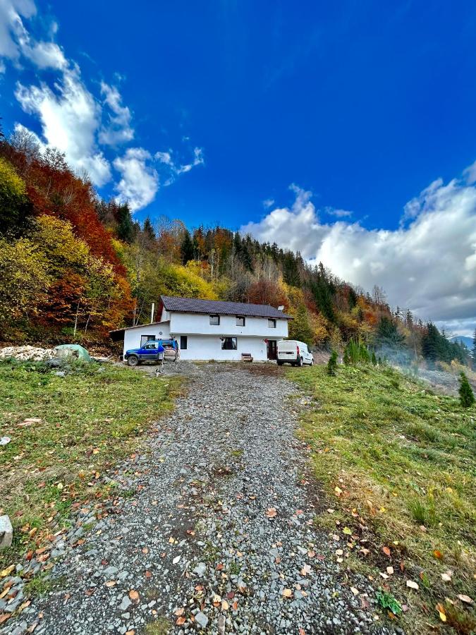 B&B Colibița - Bârlogul Urșilor - Bed and Breakfast Colibița