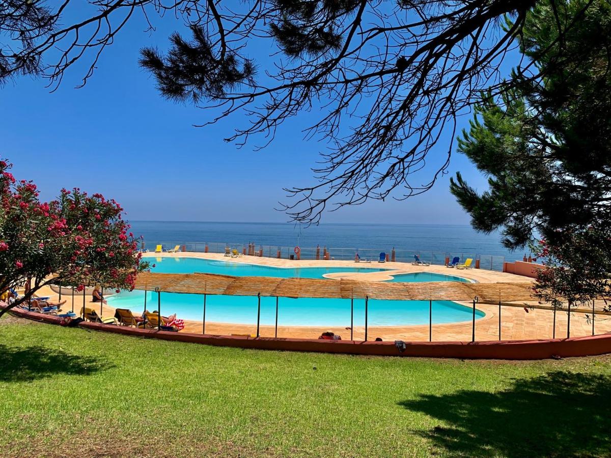 B&B Senhora da Luz - Casadaluz 86 - Porto dona Maria casa do mar , 2 bedrooms , Amazing sea view , salt water pool , wifi - Bed and Breakfast Senhora da Luz