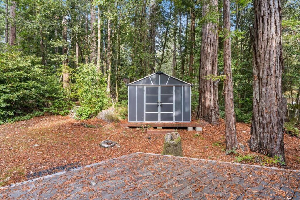 Grandma's Cabin by the Sea - Bed and Breakfast