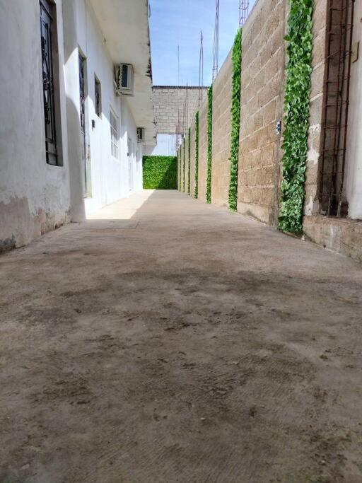 Departamento Tulipan Puerto Vallarta - Ferienwohnung Puerto Vallarta