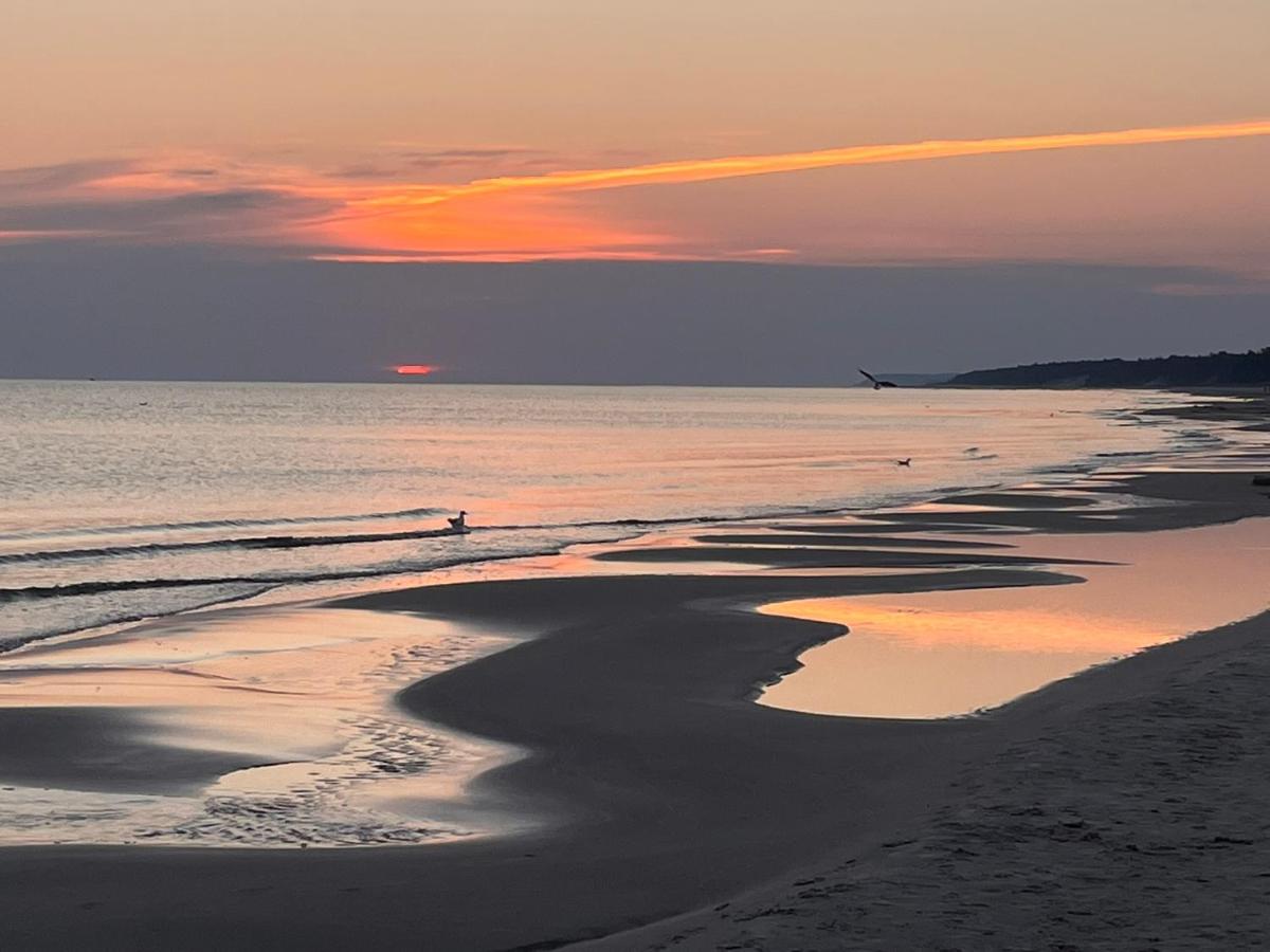 Domek Lawendowe Zacisze - B&B