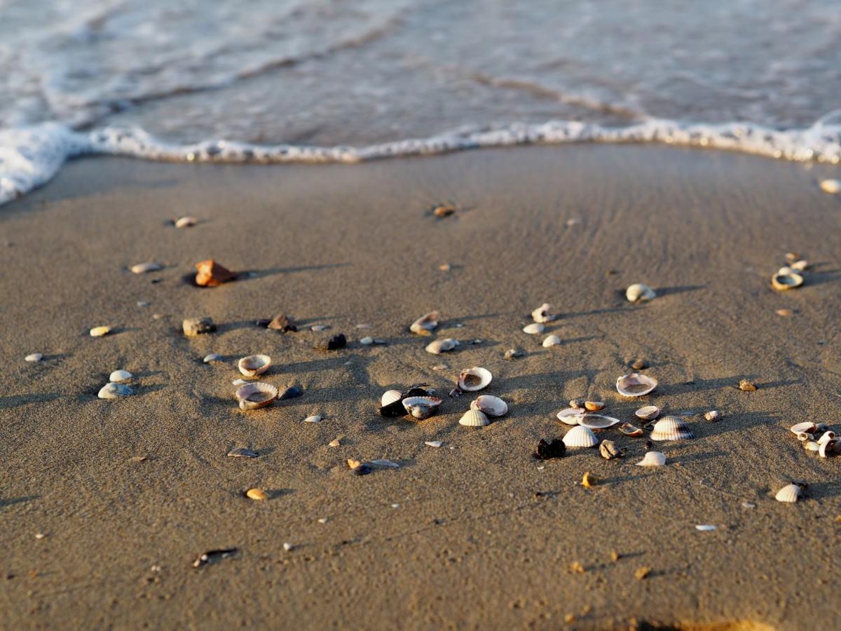 Experience the beach breeze in our bright flat - B&B