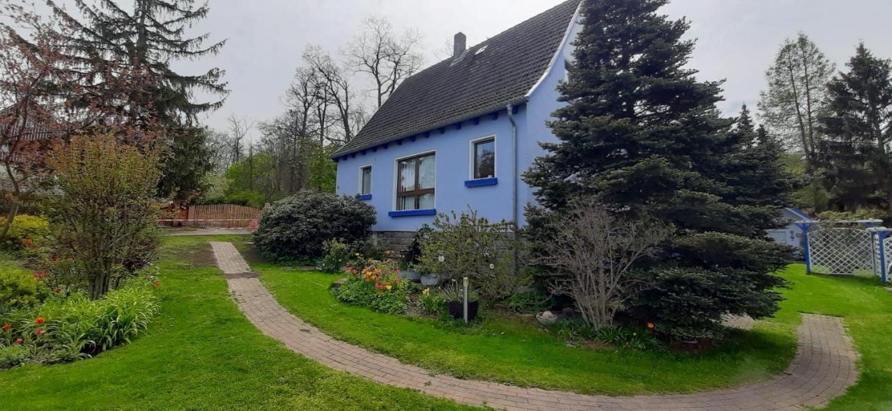Ferienwohnung Haus am Wald - Ferienwohnung Wienrode