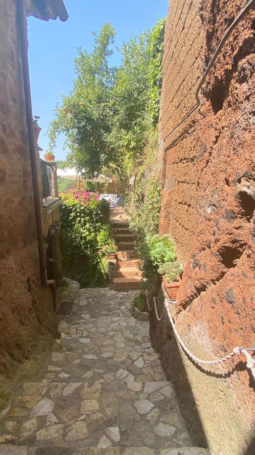 Splendida villetta con giardino - B&B