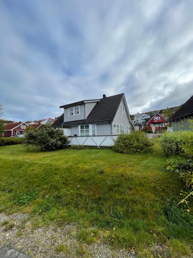 B&B Tromsø - Lovely house in Tromso - Bed and Breakfast Tromsø