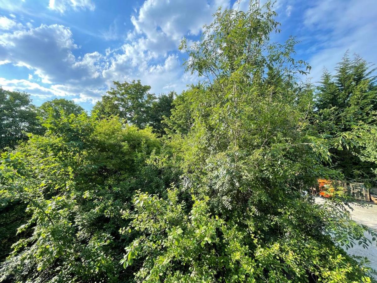 Hampstead 4-bedrooms condo apartment - Ferienwohnung London