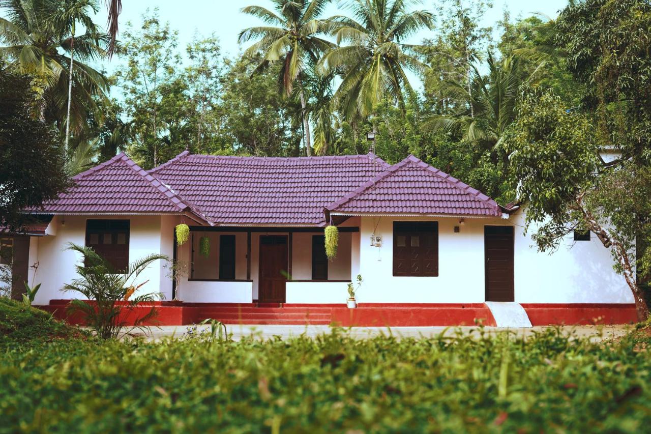 B&B Pulappoyil - Bhumi - Bed and Breakfast Pulappoyil