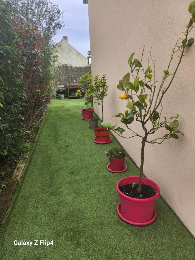 les oliviers - Ferienwohnung