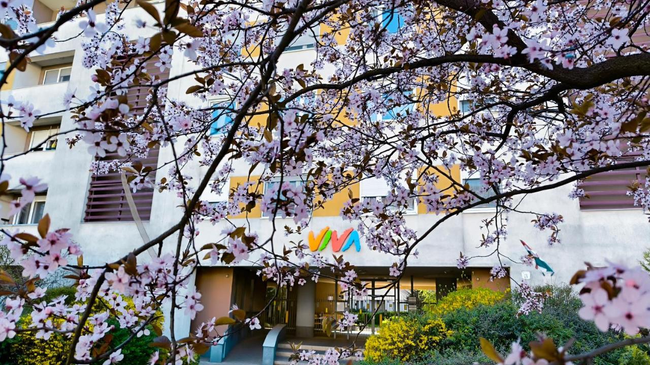 Studio Viva - Cosy Flat in Budapest - Free Parking - Bed and Breakfast